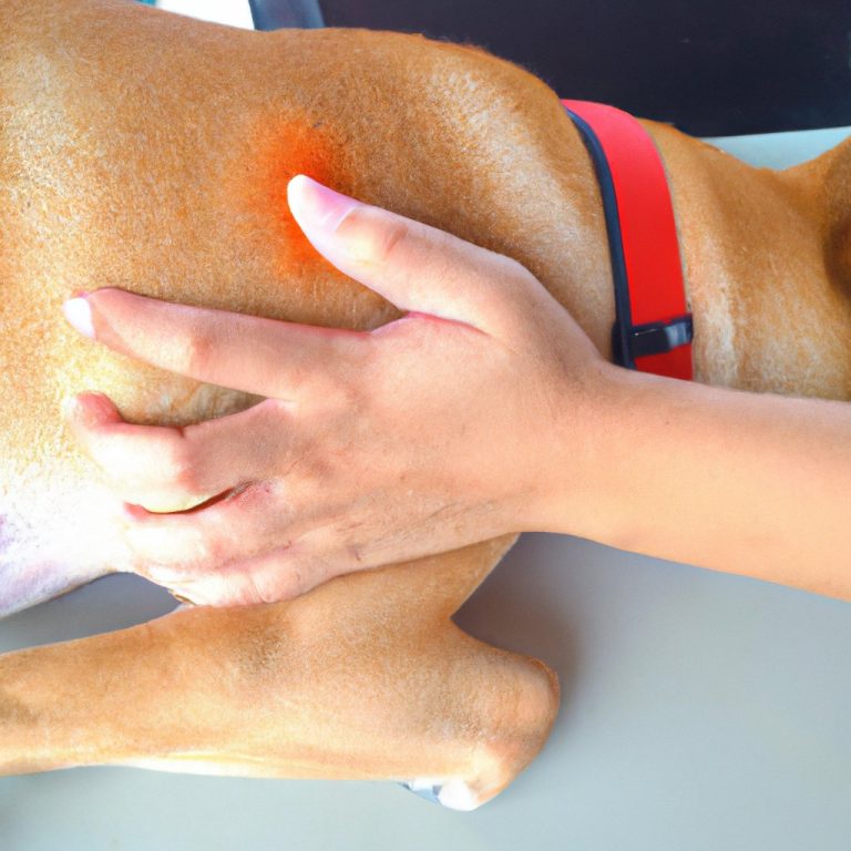 How can you treat your dogs’ skin allergies - wagwagtail
