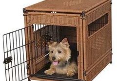 how to train your dog in a crate