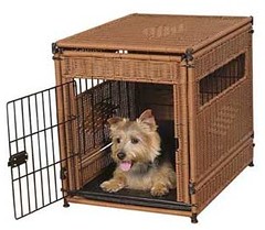 how to train your dog in a crate